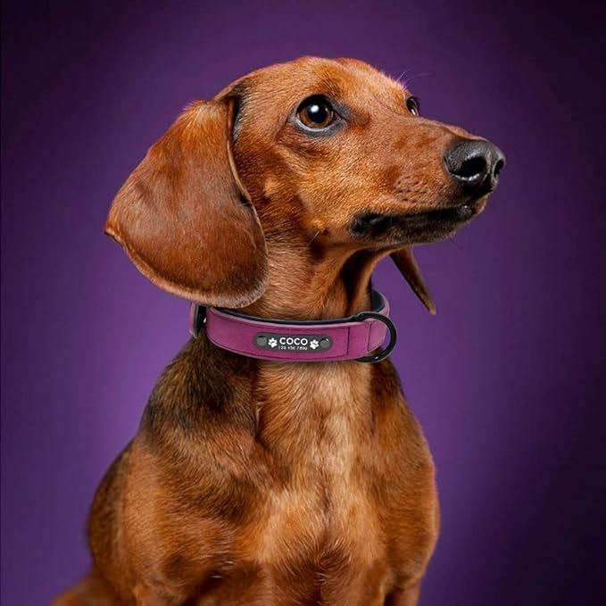 Personalized Dog Collar Custom Leather Dog Collars Inner Padded Pet ID Collar for Small Medium Large Dogs Pitbull Bulldog Purple S