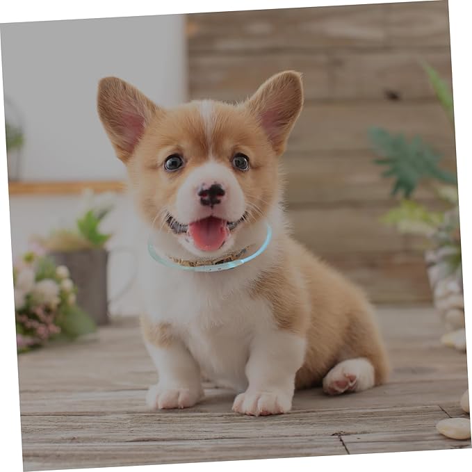 BESPORTBLE Led Collar for Dogs Puppy Led Light USB Rechargeable Fashionable Pet Decoration