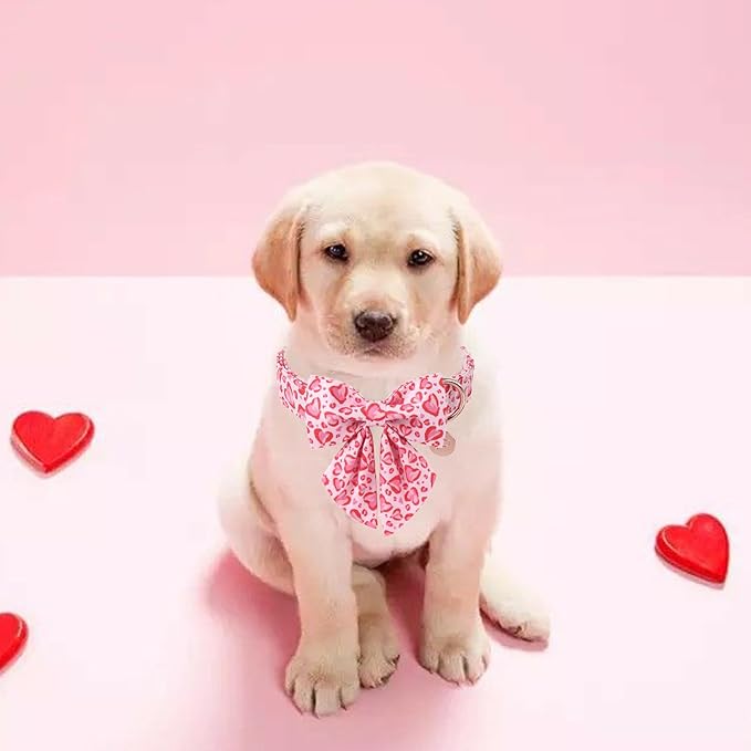 Valentine’s Day Dog Collar with Bow Tie, Pink Heart Bowtie Collar with Metal Buckle, Valentine’s Day Gift Pet Collar for Puppy Girl Boy Dog or Cat, Wedding Dog Collar, M, Neck 13.5-22in