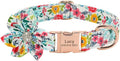 Rhinestone Personalized Dog Collar Leash Set Flower Printed Customized Pet Collar Puppy ID Collar for Small Medium Large Dogs Blue Collar S
