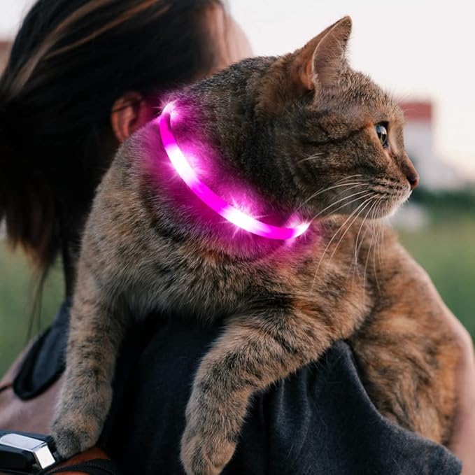 BSEEN Light Up Dog Collar, Silicone LED Dog Collar Rechargeable Glowing Puppy Collar Safety Dog Lights for Night Walking (Pink-XS 40cm)