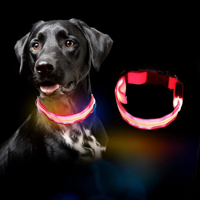 MANON ROSA LED Dog Collar USB Rechargeable Light Up Dog Collar Adjustable Nylon Soft Mesh Safety Glowing Collar for Small Medium Large Pet Dogs Cats-Nighttime Accessories (Red,Small)