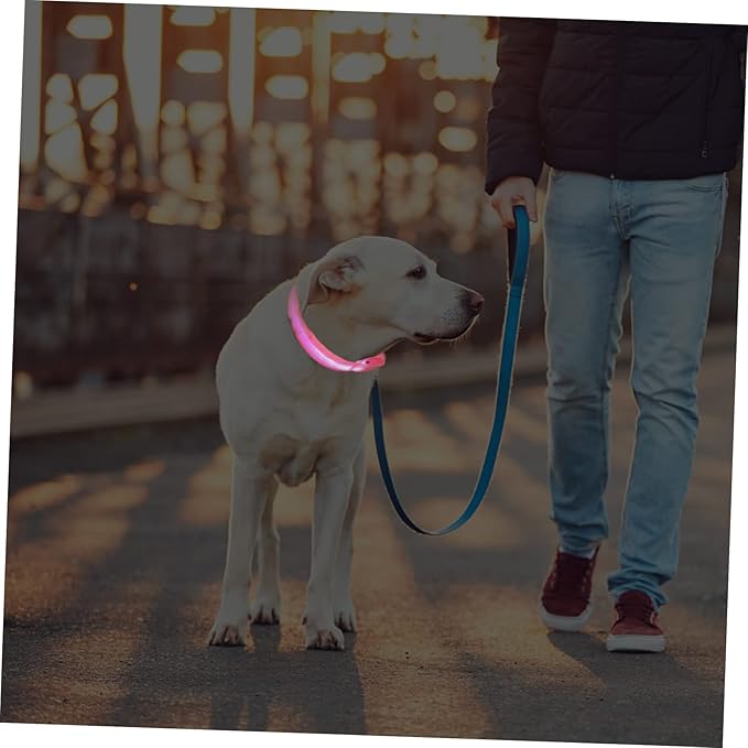 Mipcase 1set Pet Collar Glowing Neck Collar for Dogs and Puppies Rechargeable Led Safety for Night Use Skin-Friendly and Lightweight Design