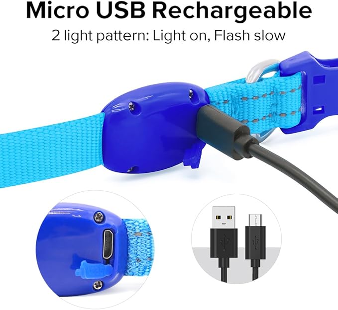 Candofly Light Up Dog Collar - USB Rechargeable Glowing Puppy Collar, Glow in The Dark Dog Lights for Night Walking Camping(X-Small, Blue)