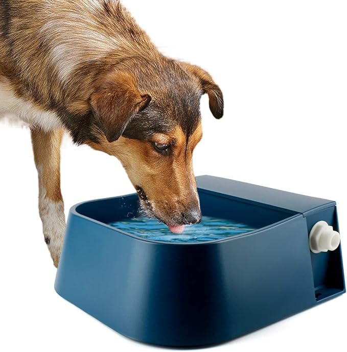 LESYPET Dog Automatic Water Bowl, Self Filling, 0.53 Gallon, Outdoor Pet Auto-Fill Waterer for Cat, Chicken, Rabbit, Anti-Slip Bottom