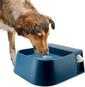 LESYPET Dog Automatic Water Bowl, Self Filling, 0.53 Gallon, Outdoor Pet Auto-Fill Waterer for Cat, Chicken, Rabbit, Anti-Slip Bottom
