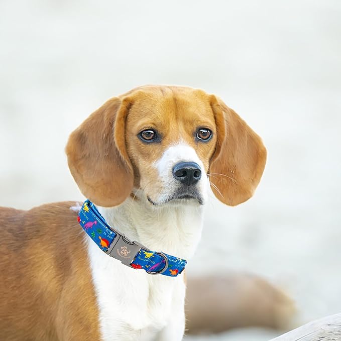 Elegant little tail Dog Collar, Blue Dinosaurs Pattern Pet Collar Durable Cute Dog Collars Male or Female Pet Gift Adjustable Dog Collar for Medium Dogs