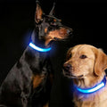 COMMIXCN 2 Pack LED Dog Collar, Light Up Reflective Collar for Small Medium Large Dogs, Universal Use with Standard Buckle, Adjustable for Night Walking Hiking Camping Outdoor (Blue)