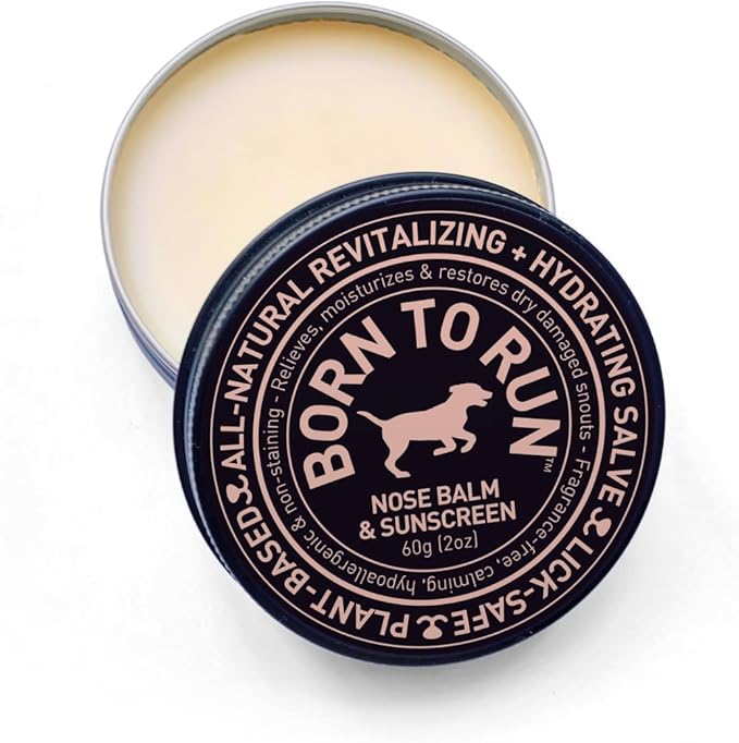 Born To Run Dog Nose Balm | Natural Snout Soother & Cold Wind Sun Protection | Moisturizes & Heals Dry Cracked Chapped Noses | Fragrance-Free Hyperkeratosis Relief Plant-Based Lick Safe Nose Cream 2oz