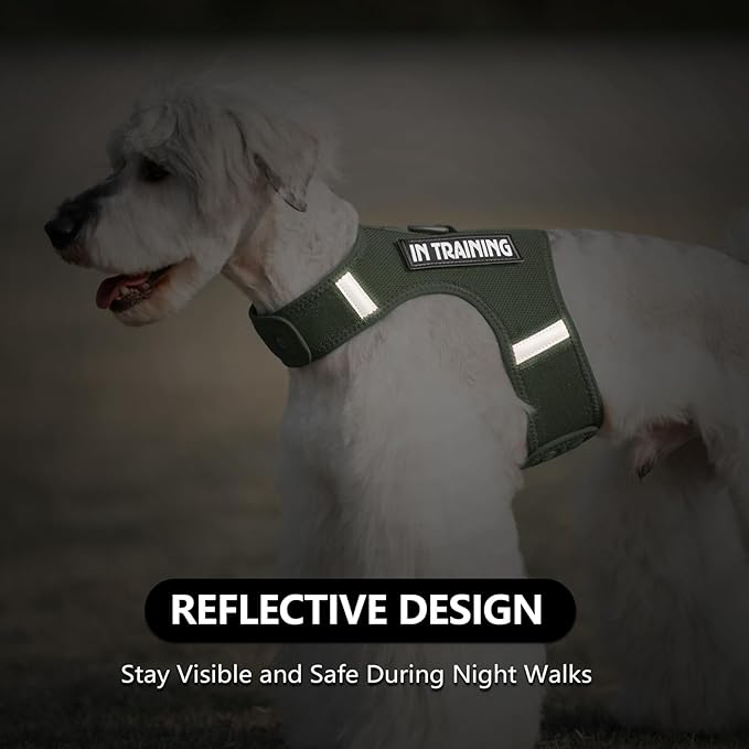 Dog Harness for Puppy – Adjustable Reflective Easy Put On Soft Mesh Vest for Small Dogs with 2 Patches (Misty Green,XXS)