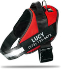 Personalized No-Pull Dog Harness with Name Patch, Adjustable, Reflective, Padded, Heavy Duty Pet Vest to Prevent Tugging, Pulling, or Choking, Training and Walking, Red, L
