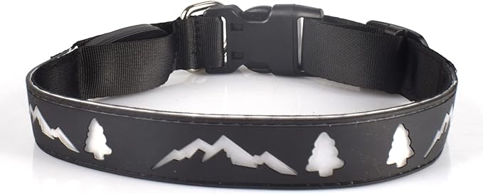 USB-C led Light up Dog Collar, 3D Design Comfortable and Soft Material,Multicolored Lighting，Night Dog Collar (TR, M(15.7-19.7"))