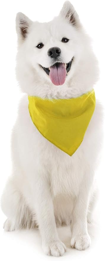 Mechaly Dog Plain Bandanas - 2 Pack - Scarf Triangle Bibs for Small, Medium and