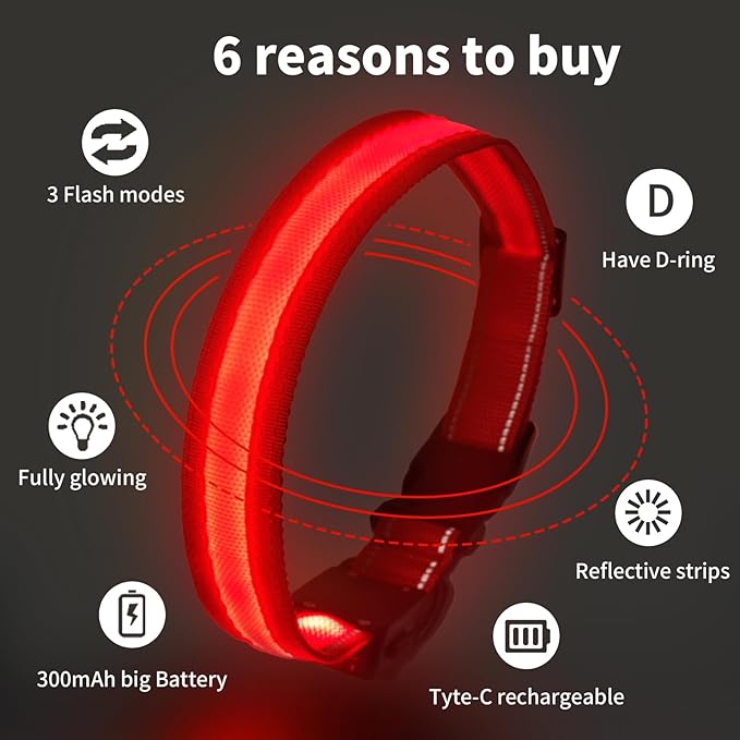 LED Dog Collar Light Up with 2025 Bright Beads & 300mAh Battery, Type-C Rechargeable Waterproof Dog Collar, 3 Flash Mode 15H for Night Safety, Adjustable Nylon Glow Collar for Small Medium Large Dogs