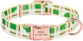 Personalized Dog Collar Custom Puppy Pet Collar Pitbull Collars Pets Acessorios Products Small Dog Collar for Medium Large Pet Green M