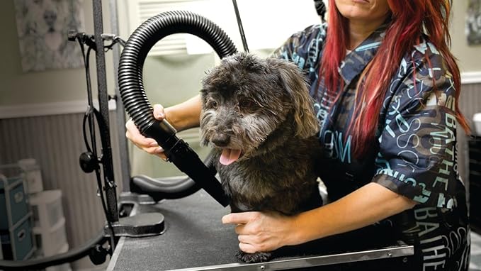 METROVAC - Air Force Commander 2 Speed Model: AFTD-1 802 Watts - Dog & Cat Hair Blow/Dryer - Air Dryer for Long and Short Hair - Orange
