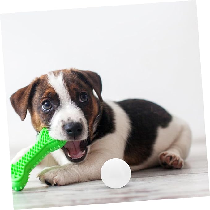 Scent Training Tool for Dogs Scent for Nose Work and Training Accessory for Service and Detection