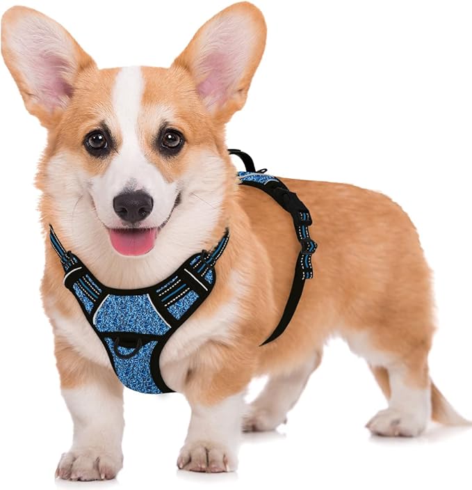 BARKBAY No Pull Dog Harness Large Step in Reflective Dog Harness with Front Clip and Easy Control Handle for Walking Training Running with ID tag Pocke(Blue/Black,M