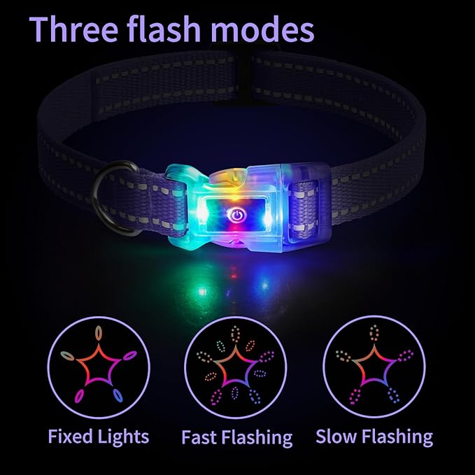 Rechargeable LED Dog Collar Suit for Small Large Dog, Dazzling Glow-in-The-Dark Light Collar, Prevent Traffic Accident Anti-Stampede Pet Supplies Glowing Collar (Purple)
