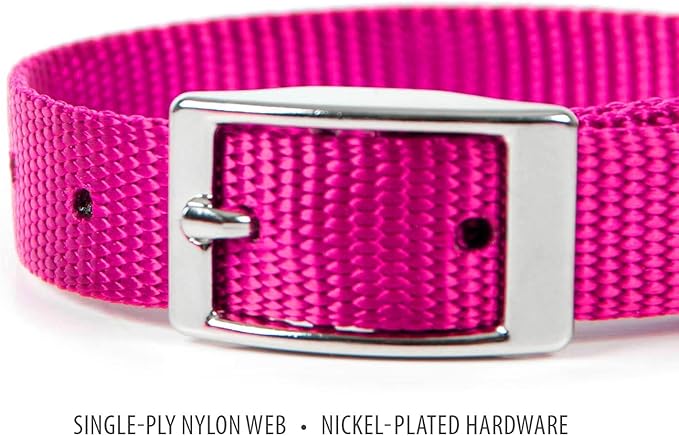 Jeffers Pet Solid Web Nylon Dog Collar for Small, Medium, Large Dogs – Adjustable Pet Collar, Nickel Plated Hardware – Durable, Comfortable – Outdoor, Training Use - Hot Pink 5/8" W x 10" L