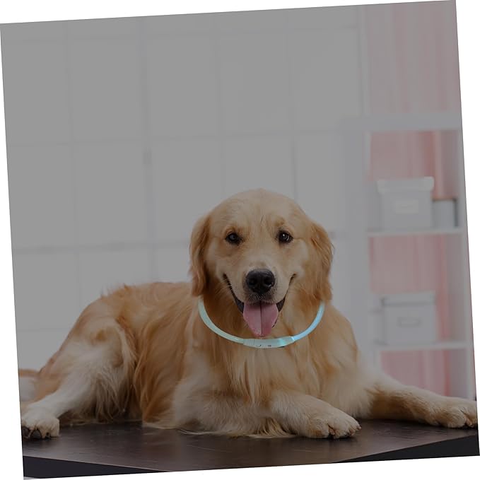 KESYOO LED Rechargeable Glow Collar for Dogs and Cats USB Charging Pet LED Light Up Collar Stylish Eye Catching Design for Pets Durable Tube for