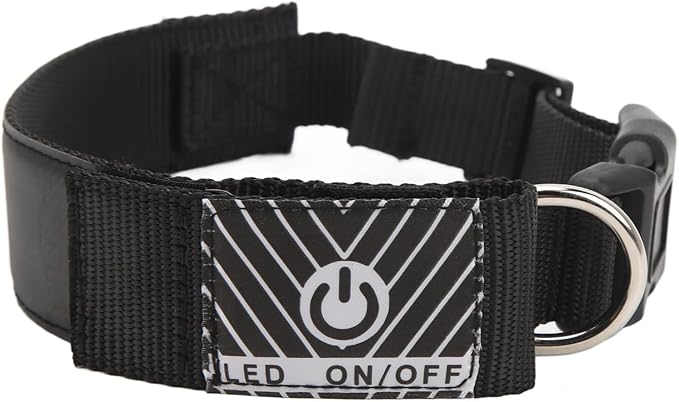 Colorful LED Dog Collar with, Rechargeable Lightup Klace for Cam and Night Walking