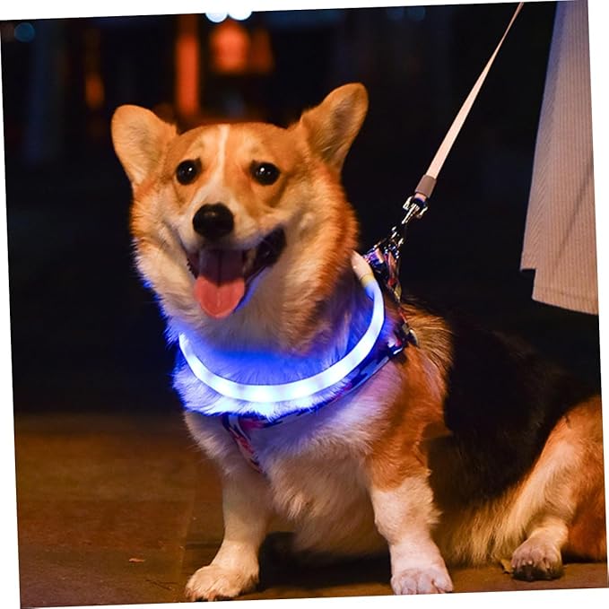 USB Rechargeable LED Pet Collar Durable Glowing Night Collar Wear Resistant and Skin Friendly Material for Visible Nighttime Walks