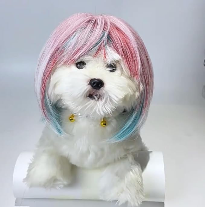 Pet Wig for Dogs and Cats, Realistic Adjustable Costume Wig with Simulated Hair for Small Medium Large Pets, Halloween Cosplay Party Photo Shoot Fun Accessory (Pink)