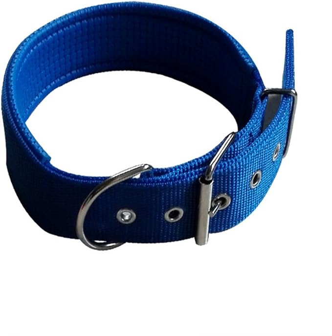 Color Foam Pet Collar Buckle Sponge Adjustable Foam Dog Neck Strap Nylon Pet Basic Collar