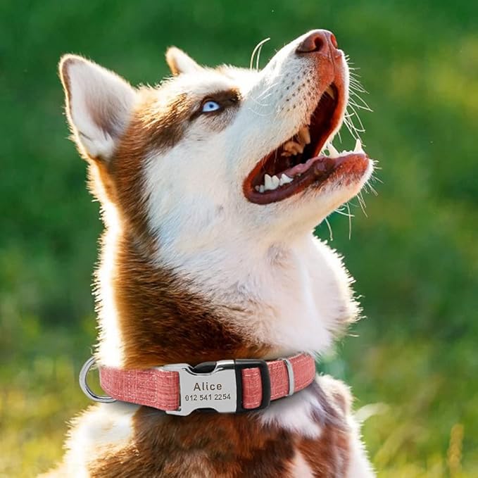 Fashion Nylon Personalized Dog Collar Engraved Name Dog Collars Custom Puppy Pet Collar ID Tag for Small Medium Large Big Dogs Pink L
