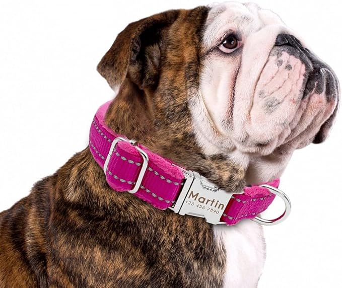 Dog Collar Personalized Reflective Large Dog Collars Nylon Adjustable Costomized Collar for Small Medium Big Dogs Pet Pitbull Rose Red M