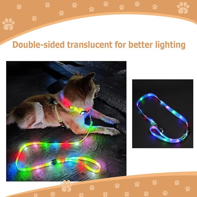 Safety Led Dog Leash for Night Walking - Glow in The Dark - Water Resistant Nylon Webbing - Lightweight and Heavy Duty - USB Rechargeable - RGB Color Changing - Suitable for All Dogs (Blue)