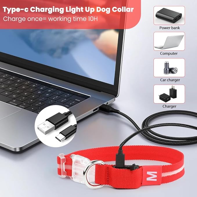 Cherry Red Small LED Dog Collar | Night Walks just got Safer | Ultra-Bright LED Collar | USB Rechargeable | Waterproof | Adjustable & Durable | 4 Light Modes | Keep Your Pup & Yourself Safe!