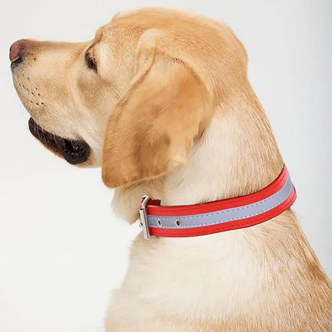 Campsis 2PCS Reflective Dog Collar Adjustable Metal Buckle Dog Collars Puppy Collar with Reflective Strip for Small Medium Large Dogs (L=11.8-14.9inch)
