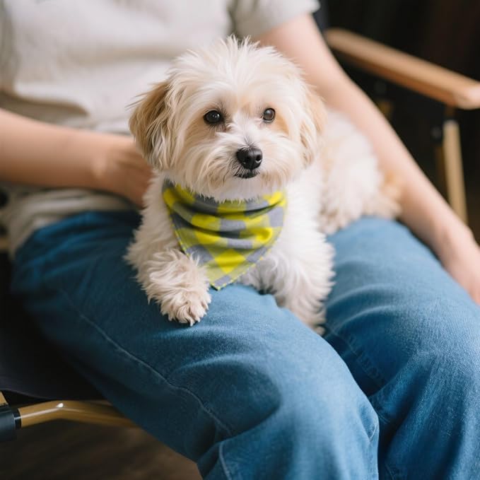 Double Layers Two Tones Dog Cotton Square Bandana Bibs Scarf Kerchief for Small Medium Dogs Boy or Girl - DCB16 G&G