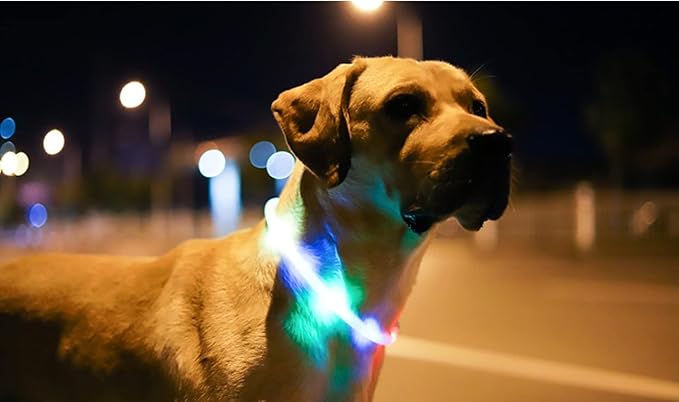 LED Dog and Cat Collar, USB Rechargeable Glowing Pet Collar, Cuttable Dog Necklace Safety Light for Dogs and Cats - Available in 7 Colors (Rainbow)
