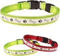 POPETPOP Led Dog Collar Rechargeable Glowing Pet Necklace Fit for Night Safety USB Charging Design for Evening Walks and Camping