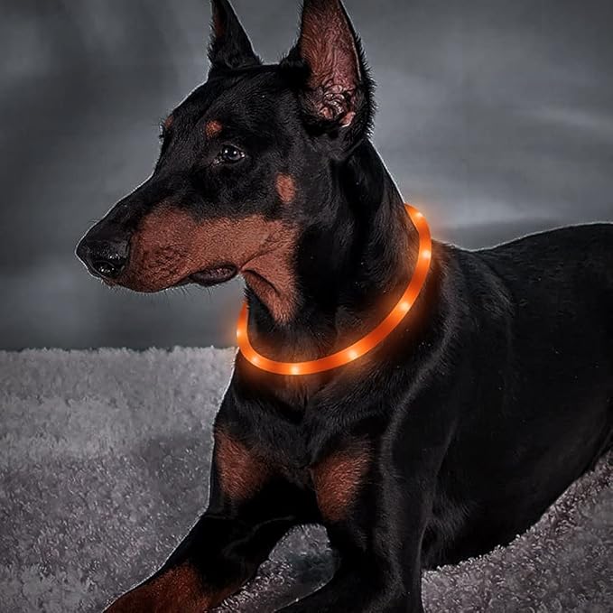 BSEEN Light Up Dog Collar, Glowing LED Dog Collar Rechargeable Cuttable Lighted Puppy Collar Safety Dog Lights Makes Your Beloved Dogs Be Seen at Night(Orange)