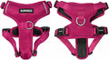 DJANGO Tahoe No Pull Dog Harness – Escape-Proof Dog Harness for Small Dogs with Front & Back Clips for Everyday Use – Adjustable, Padded, Reflective, Secure Fit, Easy On/Off – Hibiscus Pink, Small