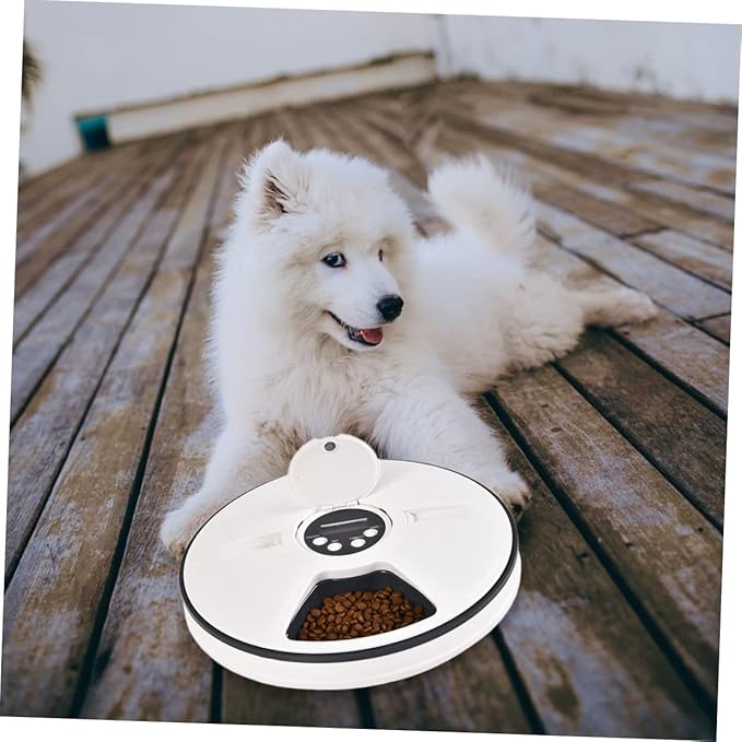 Sosoport Timed Auto Pet Cat Feeder Meal Capacity Control for Cats and Dogs Easy to Grey and Design Automatic Feeding
