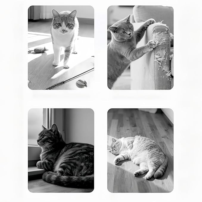 Genérico Treat Dispenser Toy for Dogs - Safe Puzzle Snack Feeder - Pet Food Dispenser - for Pets Cats Puppies Dogs Indoor Outdoor