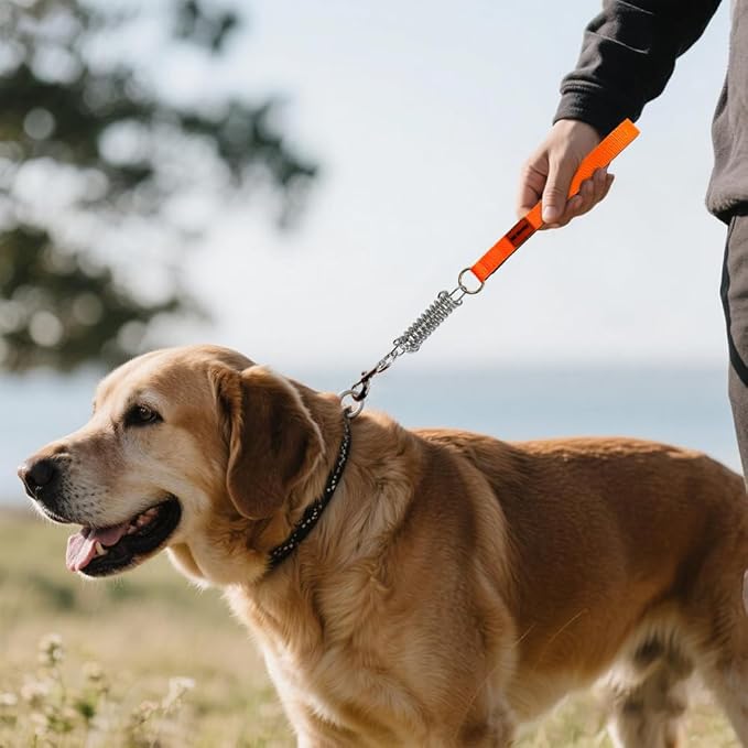 Heavy Duty Dog Leash, Chew Proof Metal Leash for Large Dogs (Up to 250lbs), WireRope Dog Leashes with Soft Silicone Grip (Orang Short, 1.5 FT)