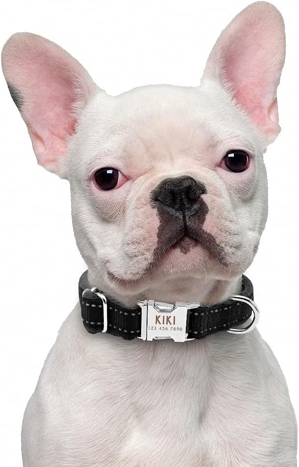 Dog Collar Personalized Reflective Large Dog Collars Nylon Adjustable Costomized Collar for Small Medium Big Dogs Pet Pitbull Black M