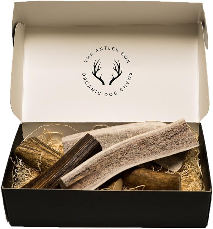 The Antler Box Premium Elk Antler Dog Chews (1 Pound Box) (Medium (4 Pieces) Whole/Split Mixed)