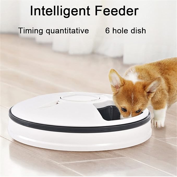 Massage cushion Pet Automatic Feeder Portion Control al Timer Detachable Dogs Cats Anti Slip 6 Meal Trays with Voice Recorder Dry Wet Food (Color : Green) (Pink)