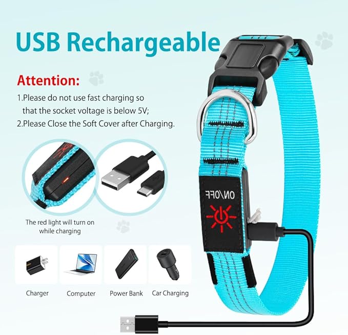 LED Dog Collar, Rechargeable Light Up Dog Collars Glow in The Dark, Adjustable Waterproof Collar Light for Medium Dogs (Blue, M)