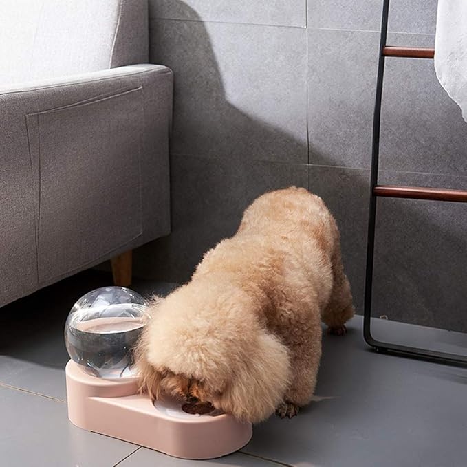 Double Dog Cat Bowls,Cat Dog Feeder Automatic Water Bowl and Food Bowl Set, Pet Automatic Water Dispenser,Floating Bowl Splash Free, Stainless Steel Feeder Bowl for Cats and Small Dog