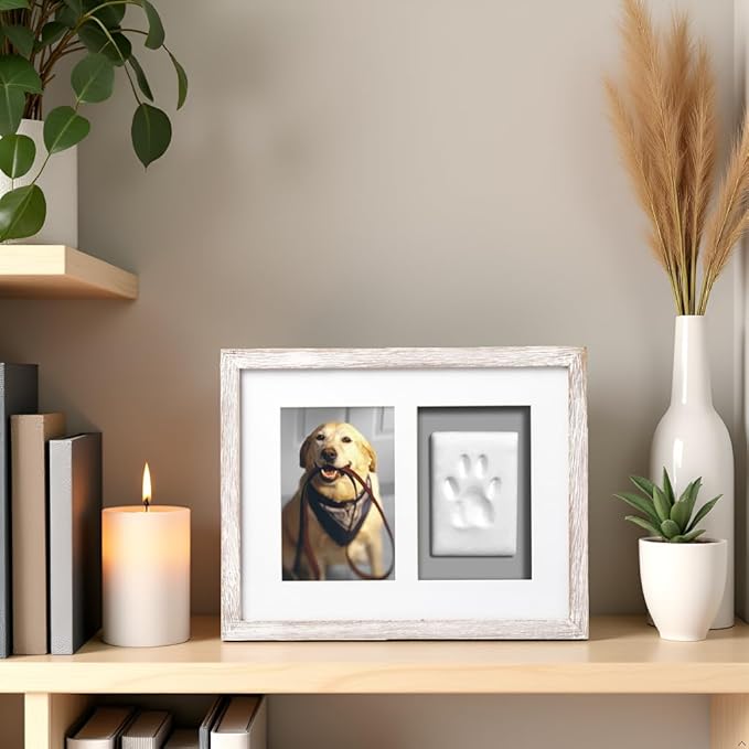 Pearhead Pet Pawprints Wall Picture Frame and Clay Impression Kit - DIY Clay Paw Print, Memorial Keepsake Frame for Cat and Dog, Ideal Home Decor Gift for Pet Owners, 4x6 Photo, Distressed White