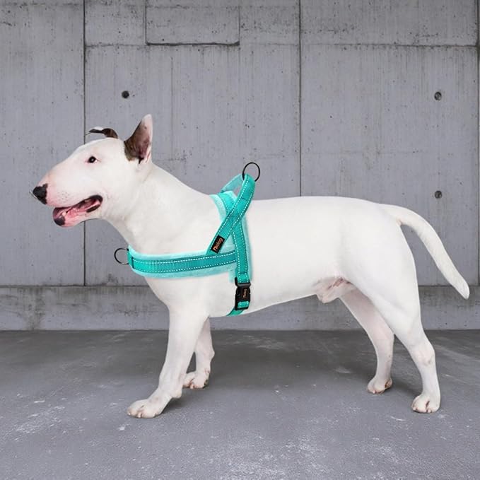 Didog Soft Flannel Padded Dog Vest Harness, No Pull/Quick Fit Reflective Dog Strap Harness, Easy for Training Walking (L:Chest 26-32", Green)