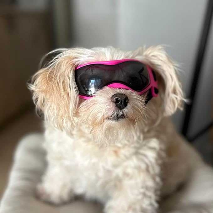 PETLESO Dog Goggles Small Breed, XS Dog Sunglasses Chihuahua Glasses Anti-UV Eyes Protection for XSmall Pets Tiny Dogs Cats, Pink XS